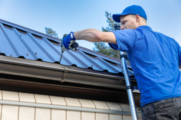 Best Chimney Flashing Repair  in Gardnerville Ranchos, NV