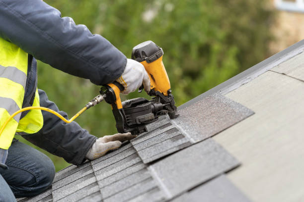 Best Skylight Installation and Repair  in Gardnerville Ranchos, NV