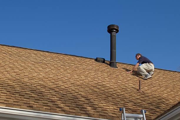 Best Roof Maintenance and Cleaning  in Gardnerville Ranchos, NV